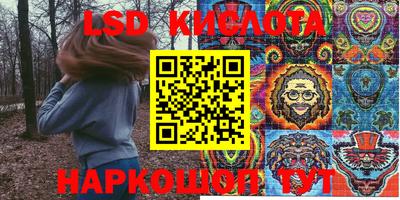 амф Кингисепп