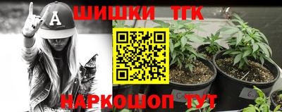 spice Кинель