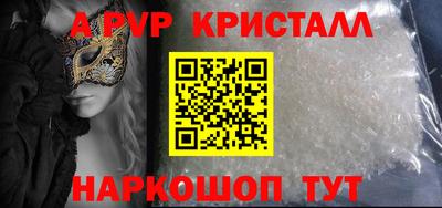 амф Кингисепп