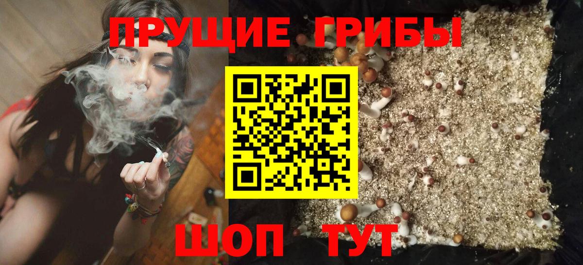 Галлюциногенные грибы прущие грибы  сколько стоит  Владивосток  Вход с VPN 